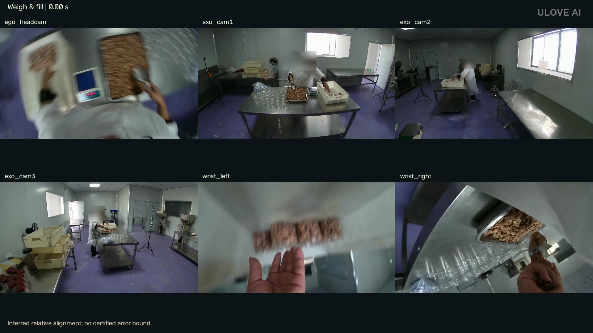 Actual face-blurred sample with head, external and wrist camera views
